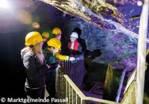 Hotel Elbterrassen zu Brambach