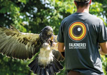 Falknerei Burg Greifenstein