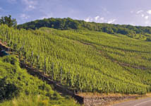 Weingut Martin Müllen