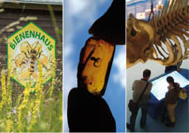 Natureum Niederelbe