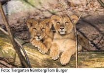 Tiergarten der Stadt Nürnberg