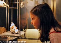 Museum Herxheim Steinzeit und Kulturgeschichte