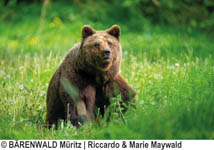 BÄRENWALD Müritz gGmbH